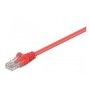 Latiguillo Cat 5e UTP 0,25mts, color rojo