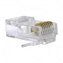 Conector CAT6 UTP macho