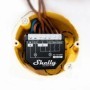Relé inteligente Shelly Wave 2PM - interruptor ON/OFF, doble canal, medición de consumo, Z-Wave
